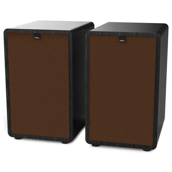 Découvrez notre avis sur les enceintes Wiibo Vintage 6 Black 100W : design rétro et performance audio impressionnante pour une expérience sonore inégalée.
